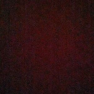 Meet your Posher, Molly